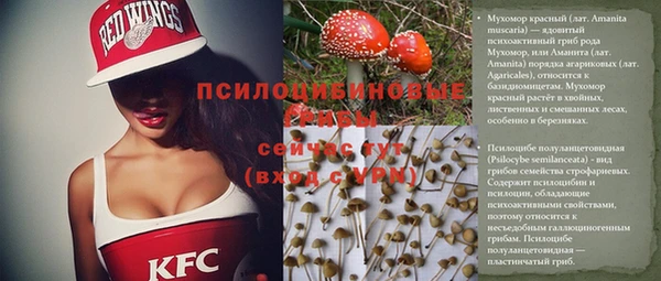 трава Мегион