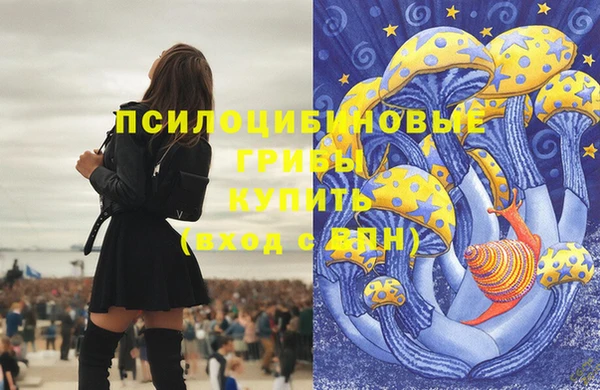 mdpv Майский