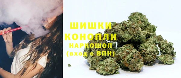 МДПВ Медногорск