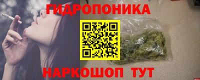 мет Дубна