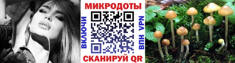это официальный сайт  Ирбит  Галлюциногенные грибы ЛСД 