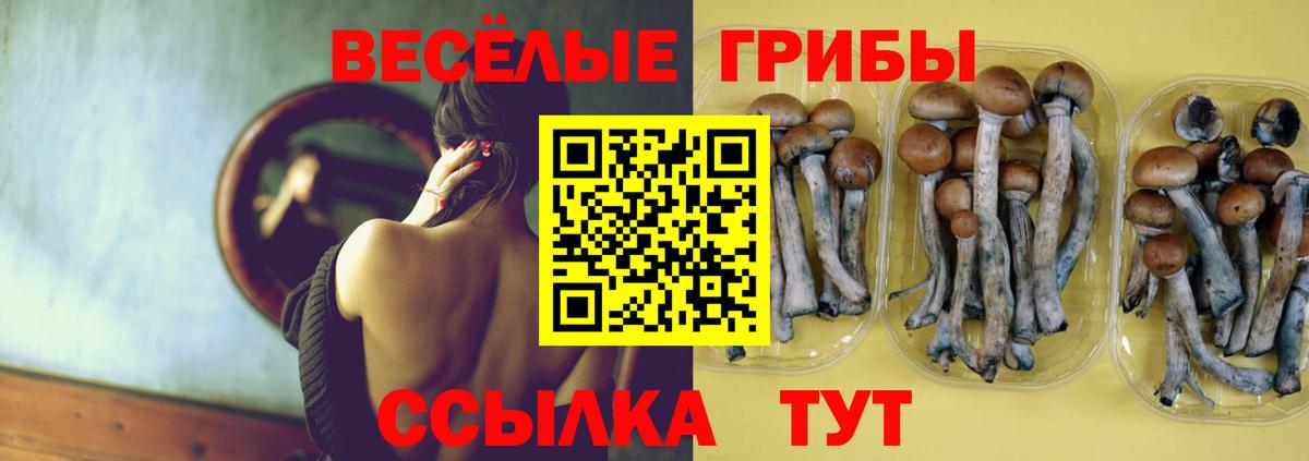 Галлюциногенные грибы прущие грибы  хочу   Псилоцибиновые грибы ЛСД  Ирбит  Вход с VPN 
